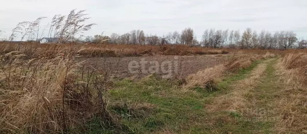 Участок в Хабаровский край, Хабаровский район, с. Ракитное  (15.0 ... - Фото 1