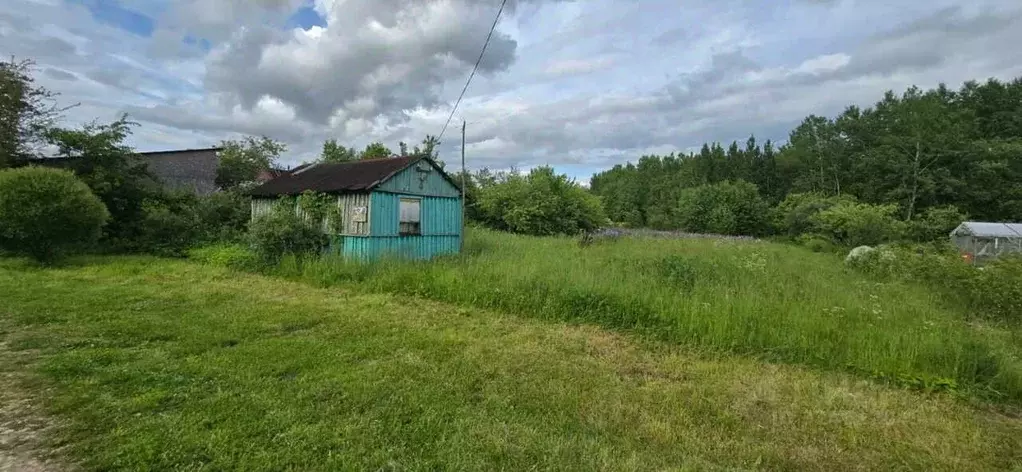 Участок в Санкт-Петербург, Санкт-Петербург, Павловск Славяночка-2 СНТ, ... - Фото 1