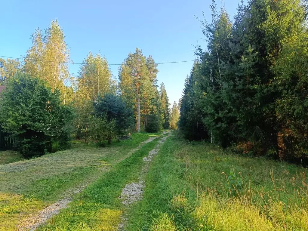 Дом в Ленинградская область, Гатчинский район, Сиверское городское ... - Фото 1