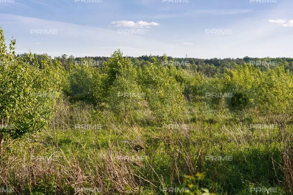 Участок 22,4 сот. (ИЖС) - Фото 1