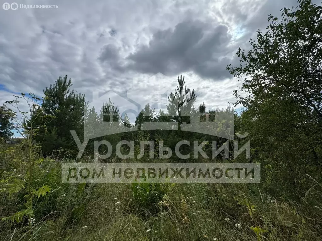 Участок в Алапаевск, улица Урицкого (20 м) - Фото 0