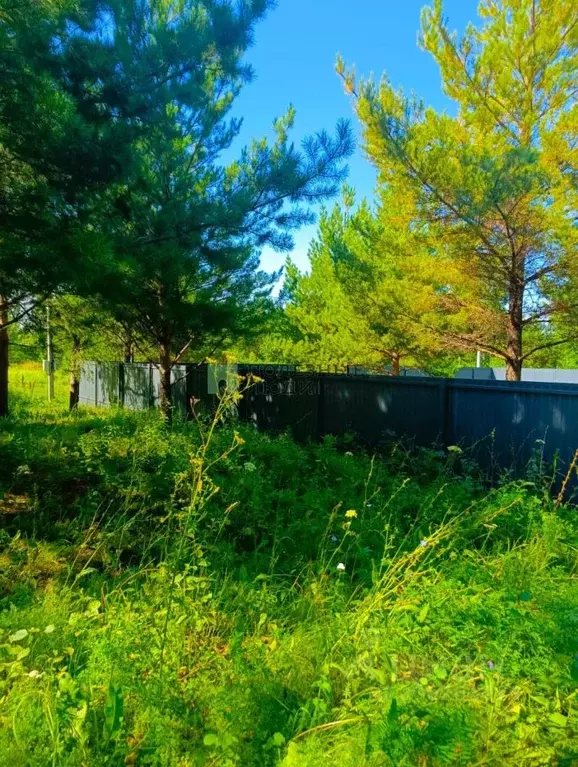 Участок в Татарстан, Тукаевский район, д. Малая Шильна, Маленькая ... - Фото 0