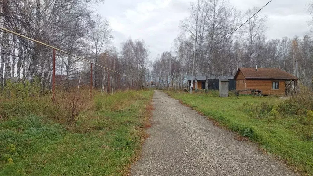 Участок в Новосибирская область, Новосибирский район, Криводановский ... - Фото 0