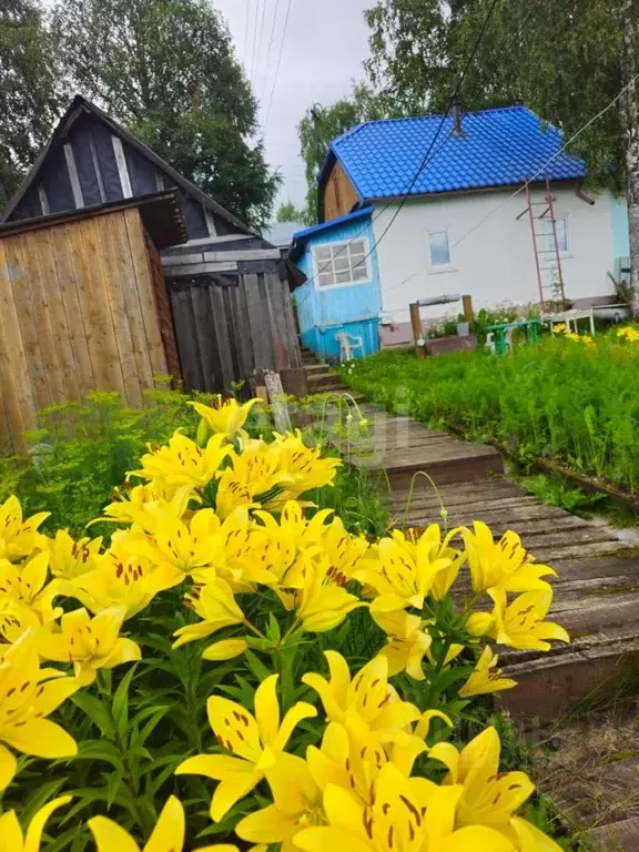 Дом в Коми, Ухта пос. Озерный, ул. 4-я Березовская, 13 (43 м) - Фото 1