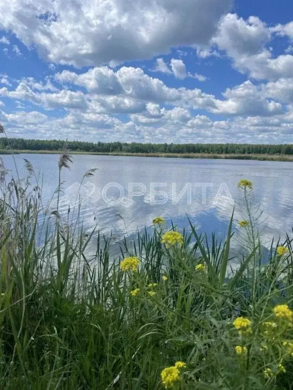 Участок в Тюменская область, Нижнетавдинский район, Тюневское с/пос, ... - Фото 0