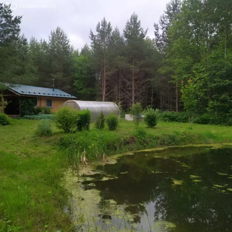 Дом в Пасеговское сельское поселение, деревня Кучумовщина (30 м) - Фото 0