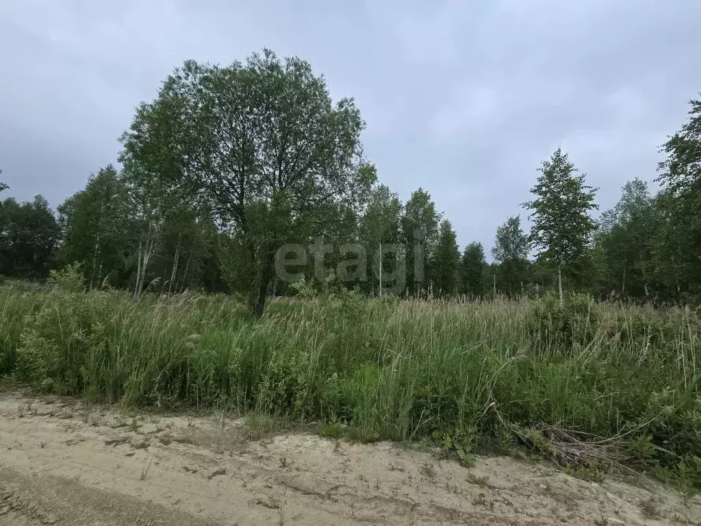 Участок в Тюменская область, Нижнетавдинский муниципальный округ, ... - Фото 1