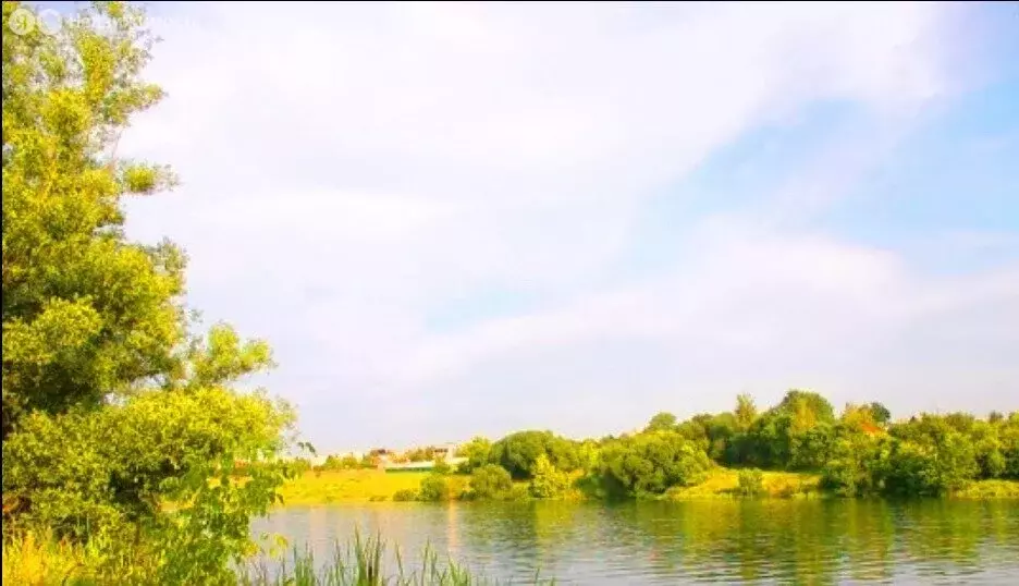 Участок в Верхнехавский район, Правохавское сельское поселение (11 м) - Фото 1