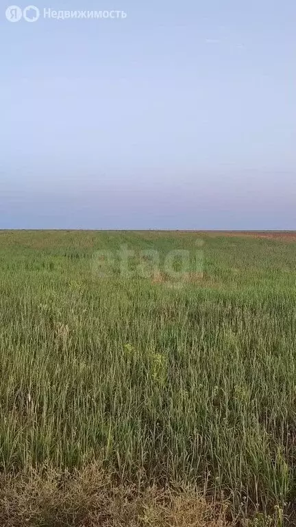 Участок в Сакский район, Ромашкинское сельское поселение, село Колоски ... - Фото 2