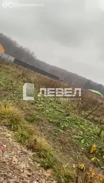 Участок в Московская область, городской округ Домодедово, деревня ... - Фото 2