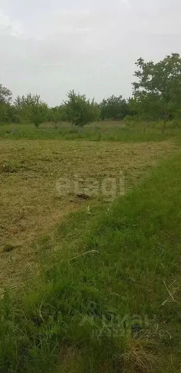 Участок в Ставропольский край, Ставрополь Зорька садовое товарищество, ... - Фото 1