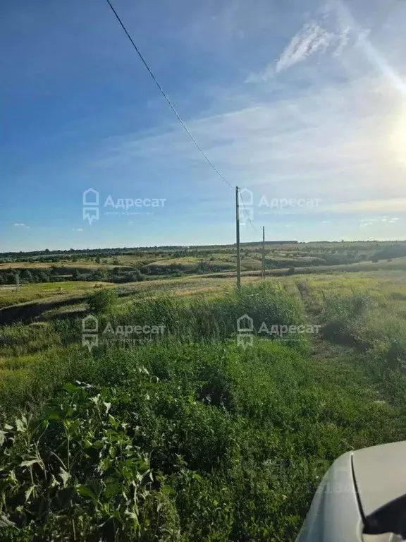 Участок в Волгоградская область, Городище рп, Дубок СНТ  (6.0 сот.) - Фото 2