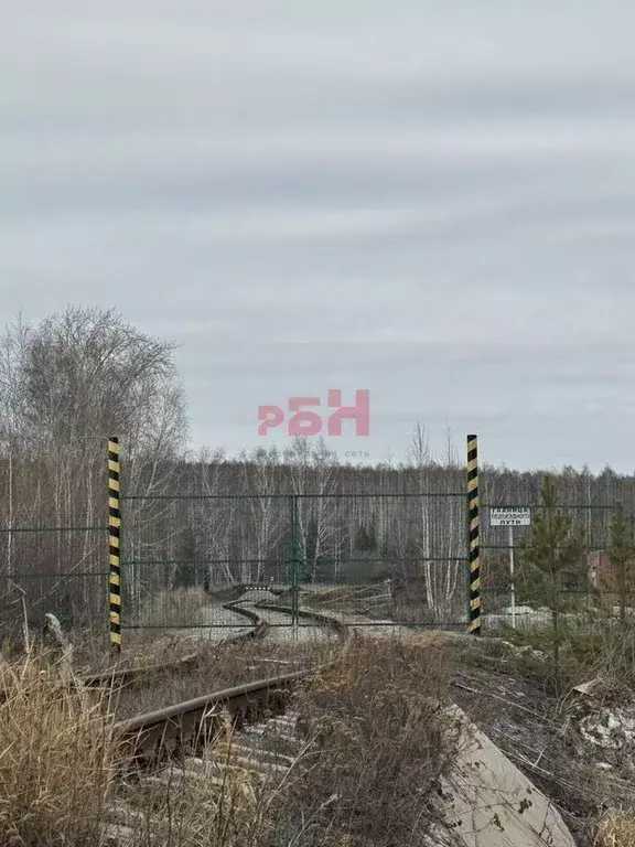 Производственное помещение в Свердловская область, Камышловский район, ... - Фото 0