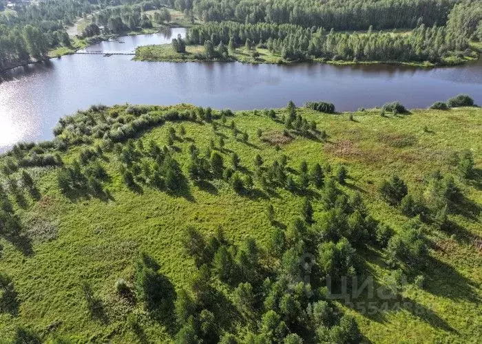 Участок в Свердловская область, Екатеринбург Шабровские дачи жилой ... - Фото 1
