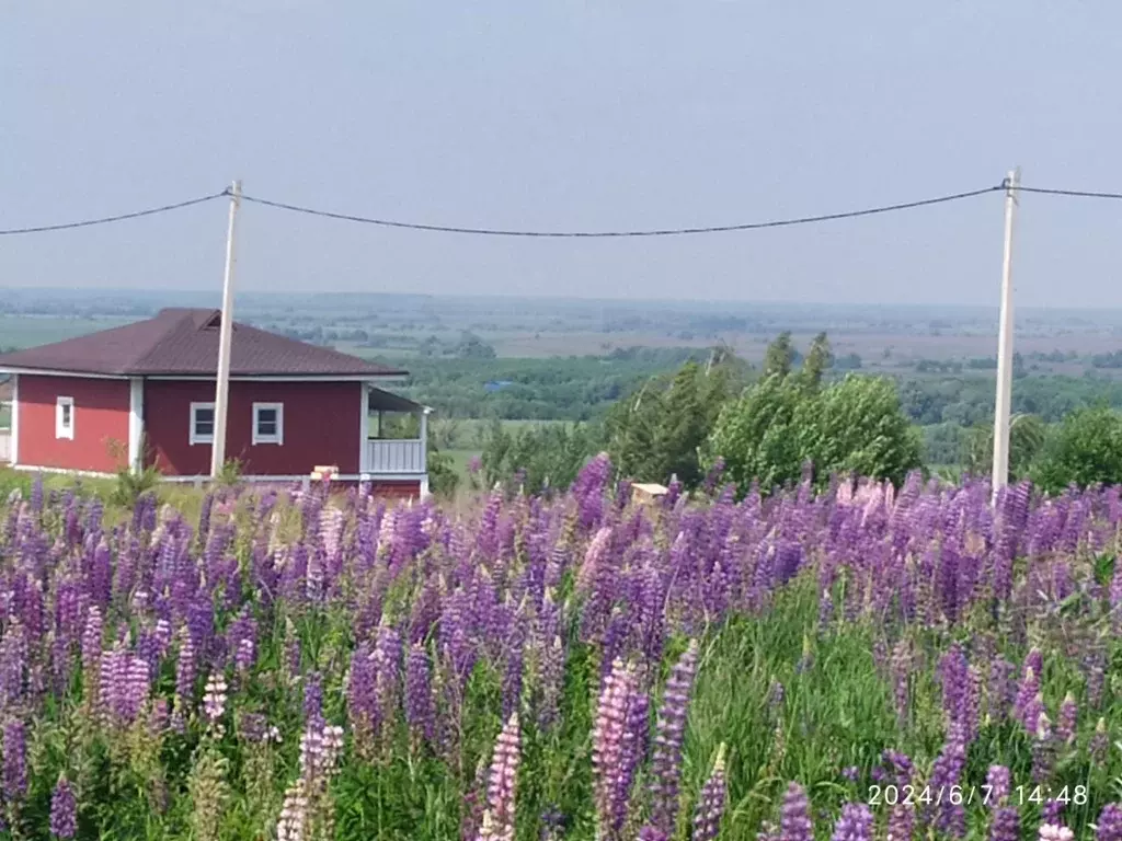 Дом в Московская область, Луховицы муниципальный округ, д. Перевицкий ... - Фото 2