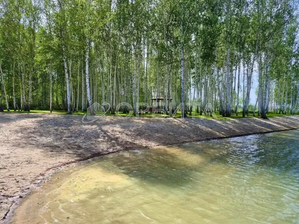 Участок в Тюменская область, Нижнетавдинский район, Строитель ТСН  ... - Фото 1