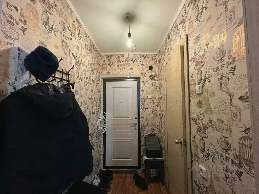 Студия Красноярский край, Красноярск ул. Вильского, 28 (24.0 м) - Фото 0