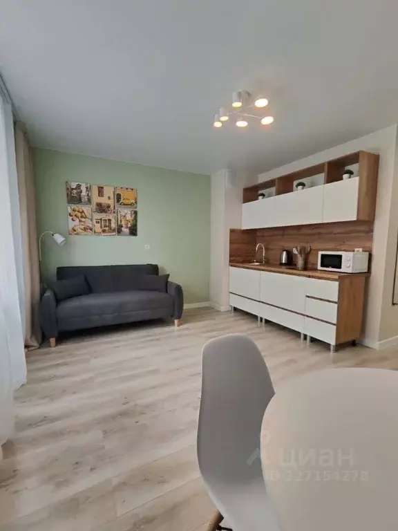 Студия Ленинградская область, Ломоносовский район, Аннинское городское ... - Фото 1