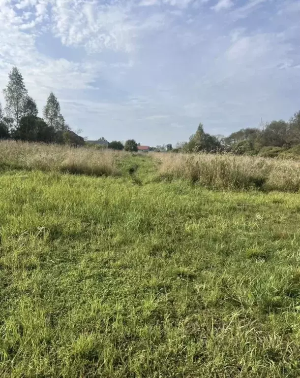 Участок в Псковская область, Псковский район, Писковичская волость, д. ... - Фото 1