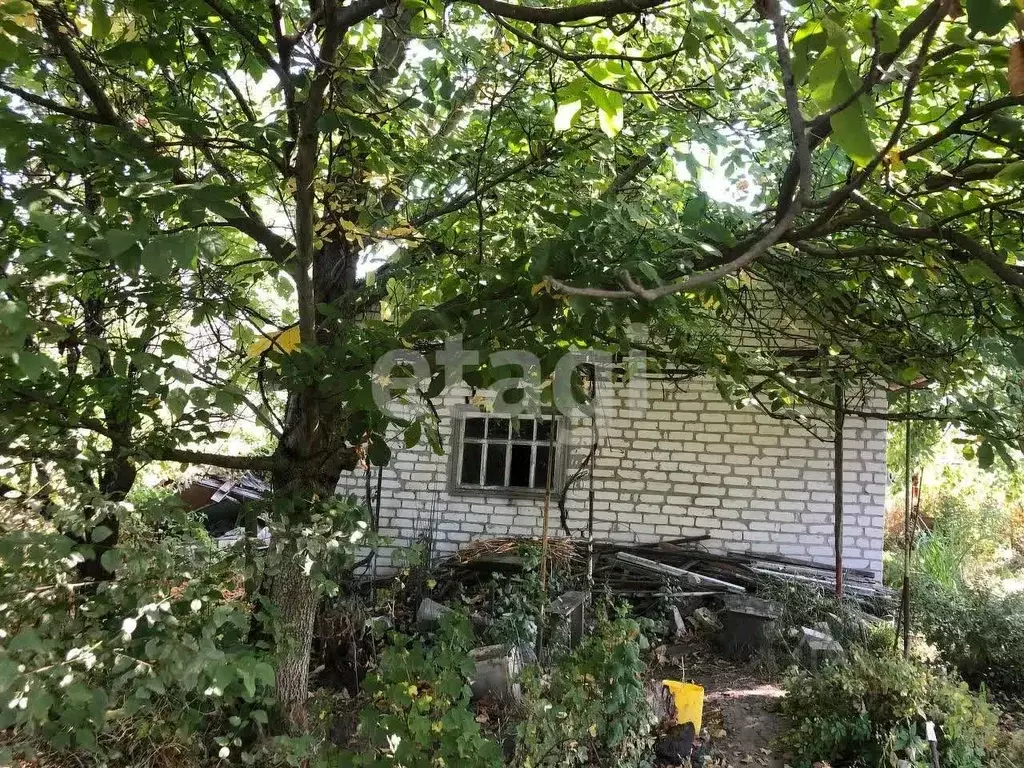 Участок в Брянская область, Брянский район, Мичуринское с/пос, ... - Фото 1