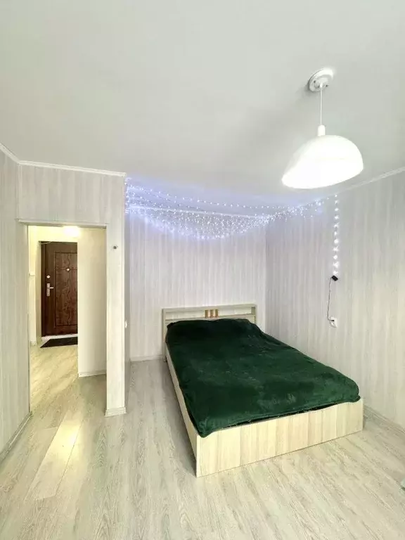 1-к кв. Московская область, Ногинск Богородский городской округ, ул. ... - Фото 1