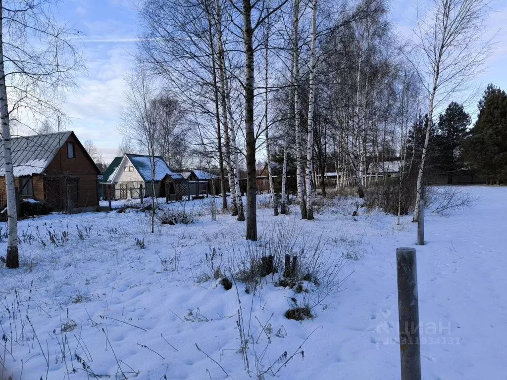 Участок в Московская область, Раменский городской округ, д. Володино ... - Фото 1