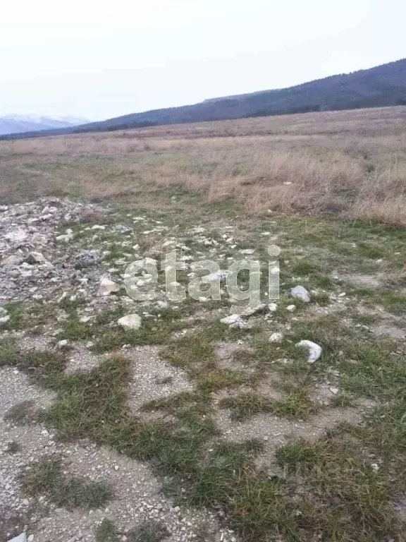 Участок в Краснодарский край, Геленджик муниципальное образование, с. ... - Фото 1