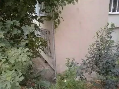 Помещение свободного назначения в Краснодарский край, Сочи Светлана ... - Фото 2