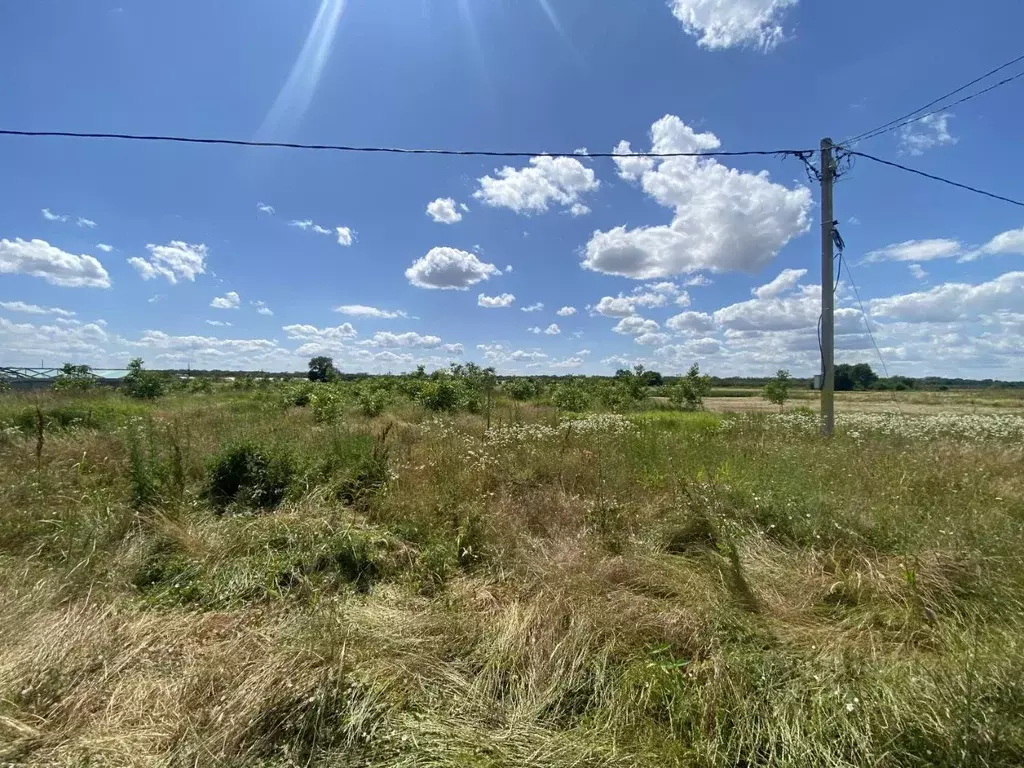 Участок в Краснодарский край, Армавир городской округ, Красная Поляна ... - Фото 2