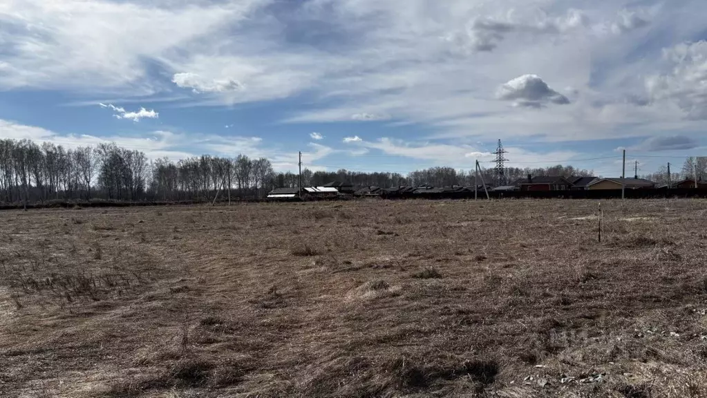 Участок в Омская область, Омский район муниципальный округ, с. ... - Фото 2