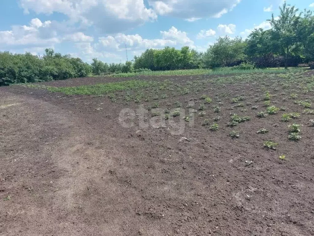 Участок в Белгородская область, Корочанский муниципальный округ, ... - Фото 2