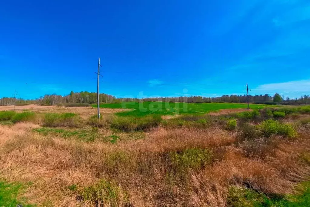 Участок в Тюменская область, Нижнетавдинский район, Ключевское с/пос, ... - Фото 1