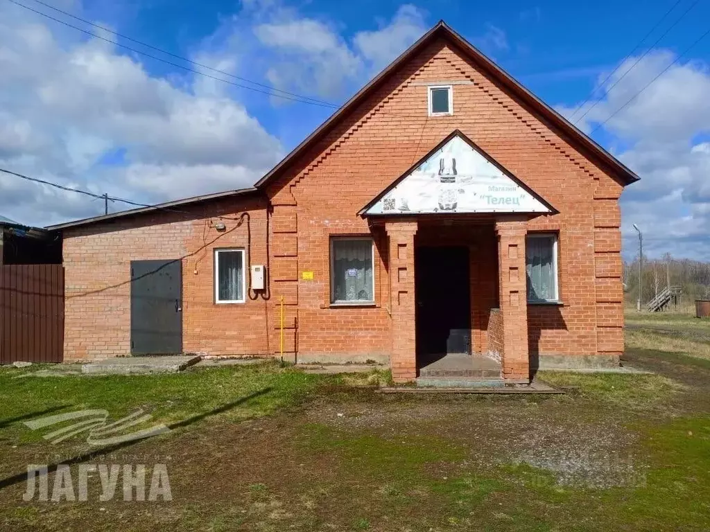 Помещение свободного назначения в Томская область, с. Кожевниково ул. ... - Фото 0