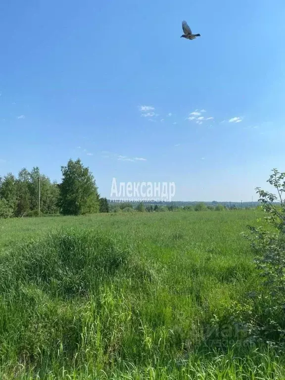 Участок в Ленинградская область, Приозерский район, Плодовское с/пос, ... - Фото 0