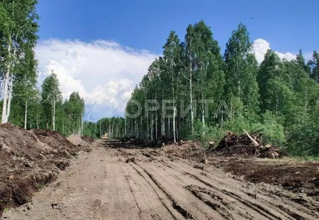 Участок в Тюменская область, Нижнетавдинский район, Строитель ТСН ул. ... - Фото 1