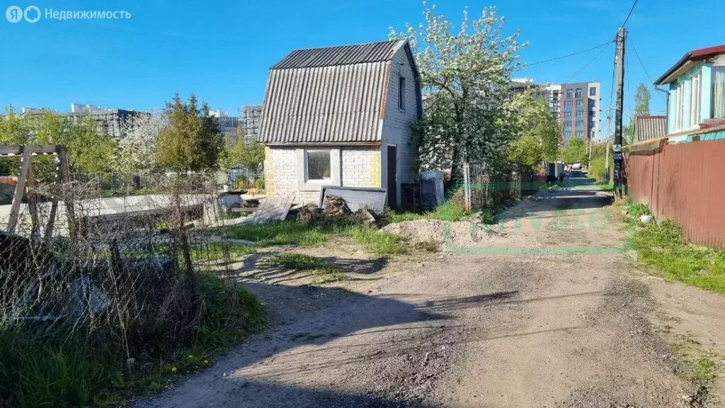 Участок в Калининград, СТ Дружба-Девау, Фиалковый переулок (6.4 м) - Фото 1