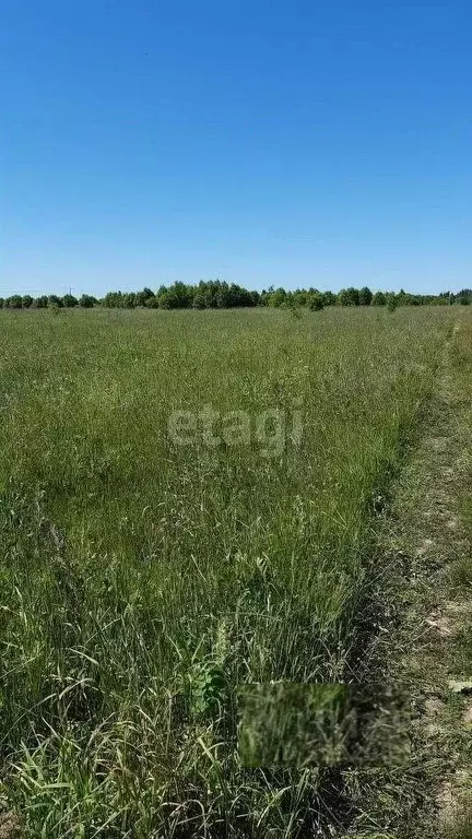 Участок в Калужская область, Город Калуга городской округ, д. Желыбино ... - Фото 1