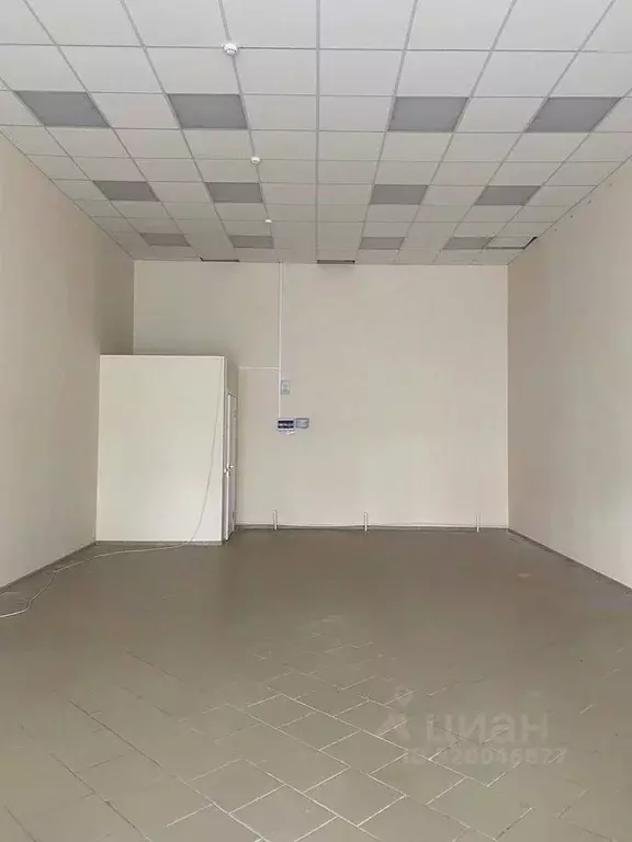 Помещение свободного назначения в Краснодарский край, Павловская ст-ца ... - Фото 1