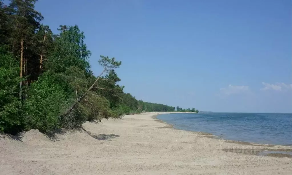 Участок в Новосибирская область, Новосибирский район, с. Боровое ул. ... - Фото 1