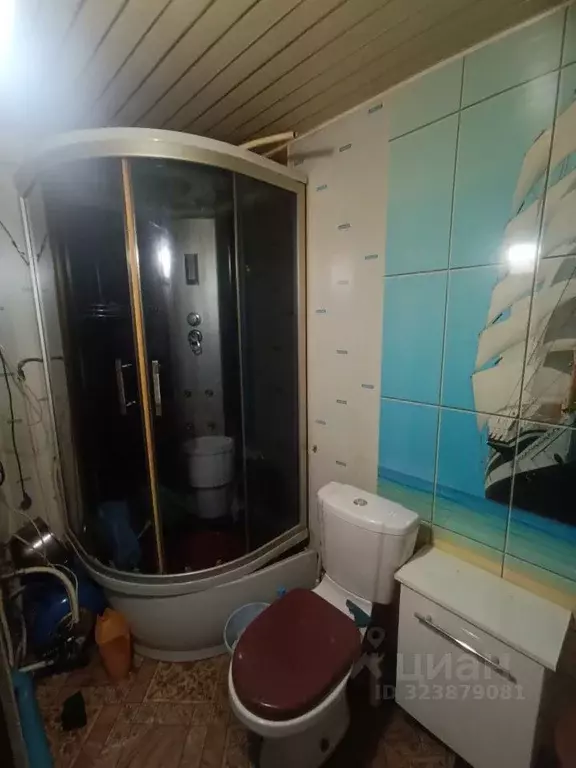 Дом в Татарстан, Пестречинский район, с. Шали ул. Вахитова (60 м) - Фото 2