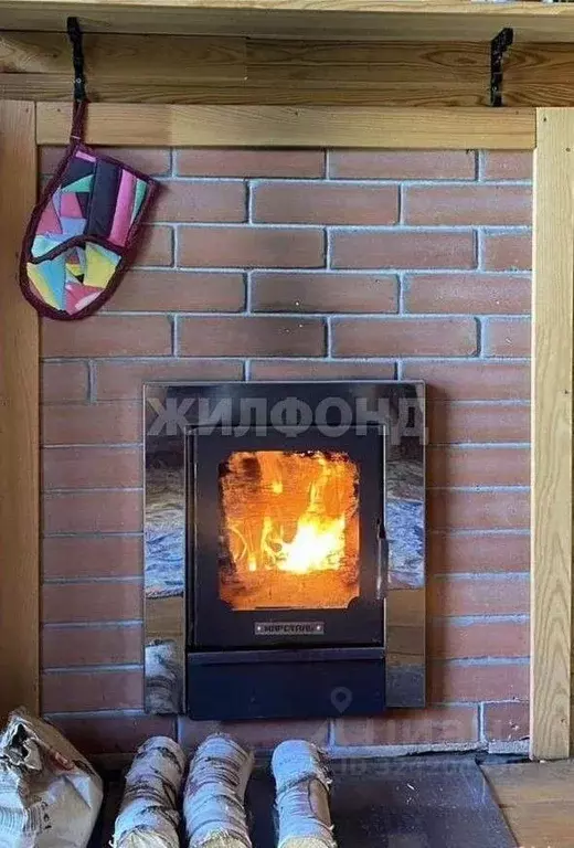 Дом в Новосибирская область, Бердск Майское СНТ,  (30 м) - Фото 2