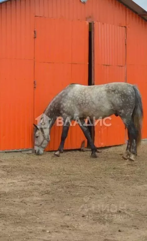 Производственное помещение в Калужская область, Барятинский ... - Фото 1