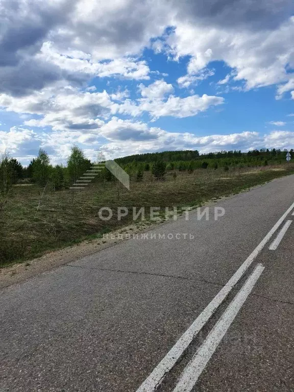 Участок в Свердловская область, Нижнесергинский район, Кленовское ... - Фото 1