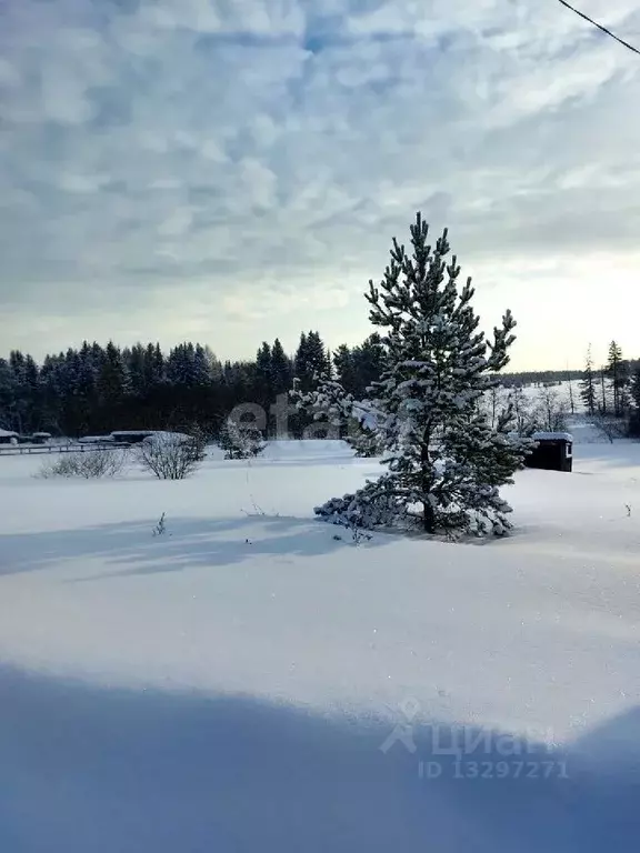 Участок в Свердловская область, Горноуральский городской округ, с. ... - Фото 1