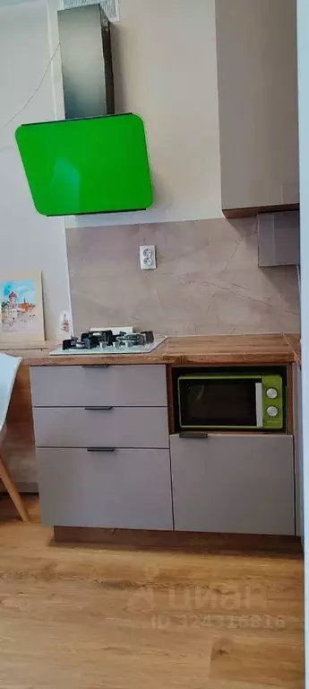 Студия Калининградская область, Светлогорск ул. Цветочная, 1 (26.0 м) - Фото 2