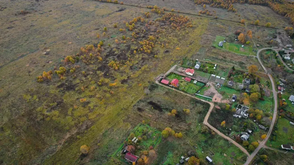 Участок в Ленинградская область, Ломоносовский район, Лопухинское ... - Фото 2