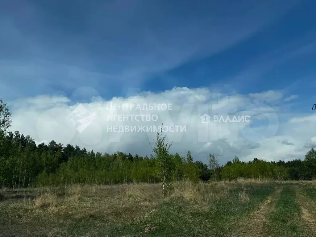 Участок 11,8 сот. (ИЖС) - Фото 1