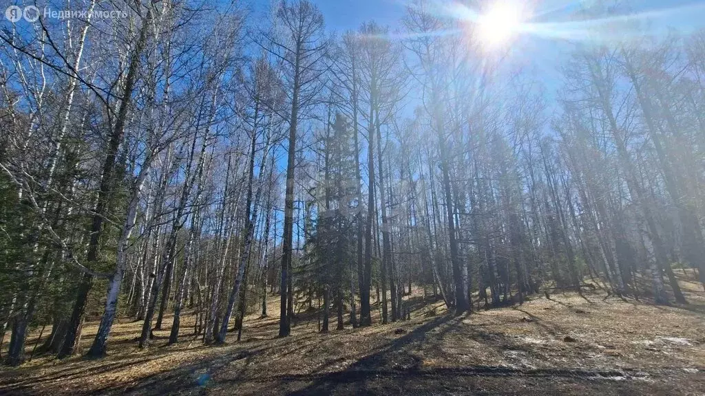 Дом в Усть-Коксинский район, село Мульта (17.6 м) - Фото 1