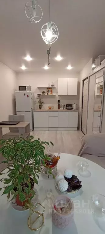 Комната Санкт-Петербург ул. Подвойского, 50к1 (16.2 м) - Фото 1