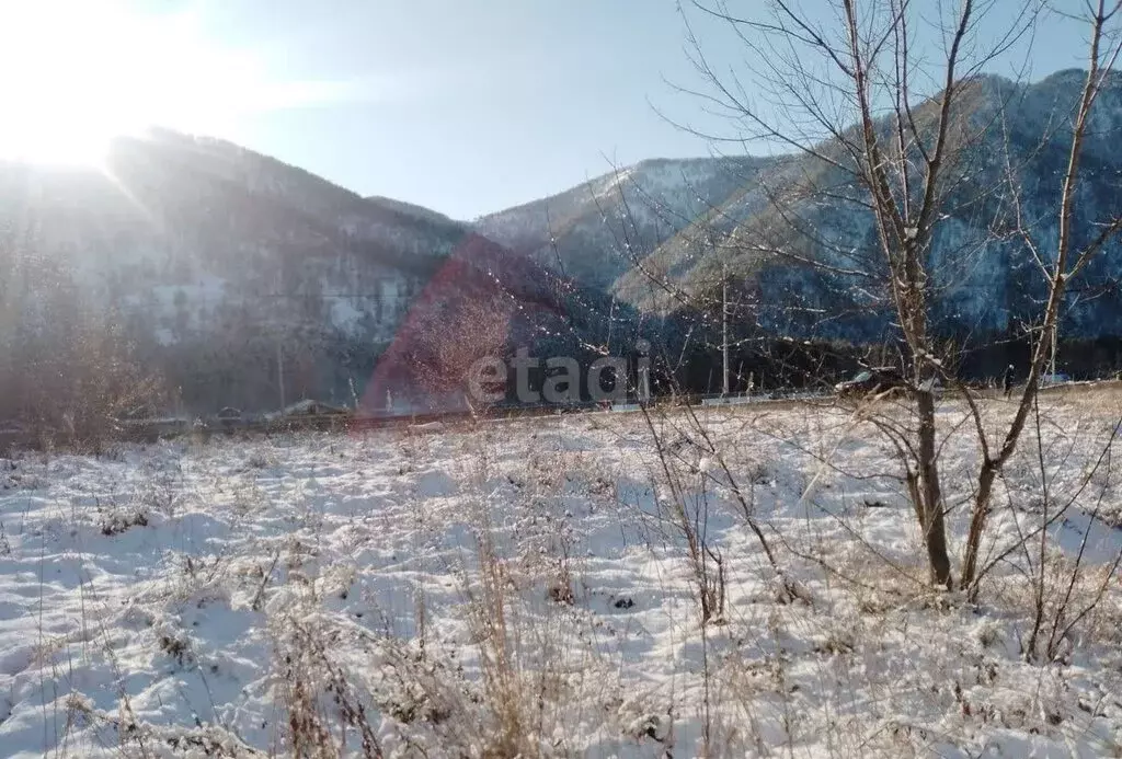 Участок в Майминский район, село Усть-Муны (10 м) - Фото 1